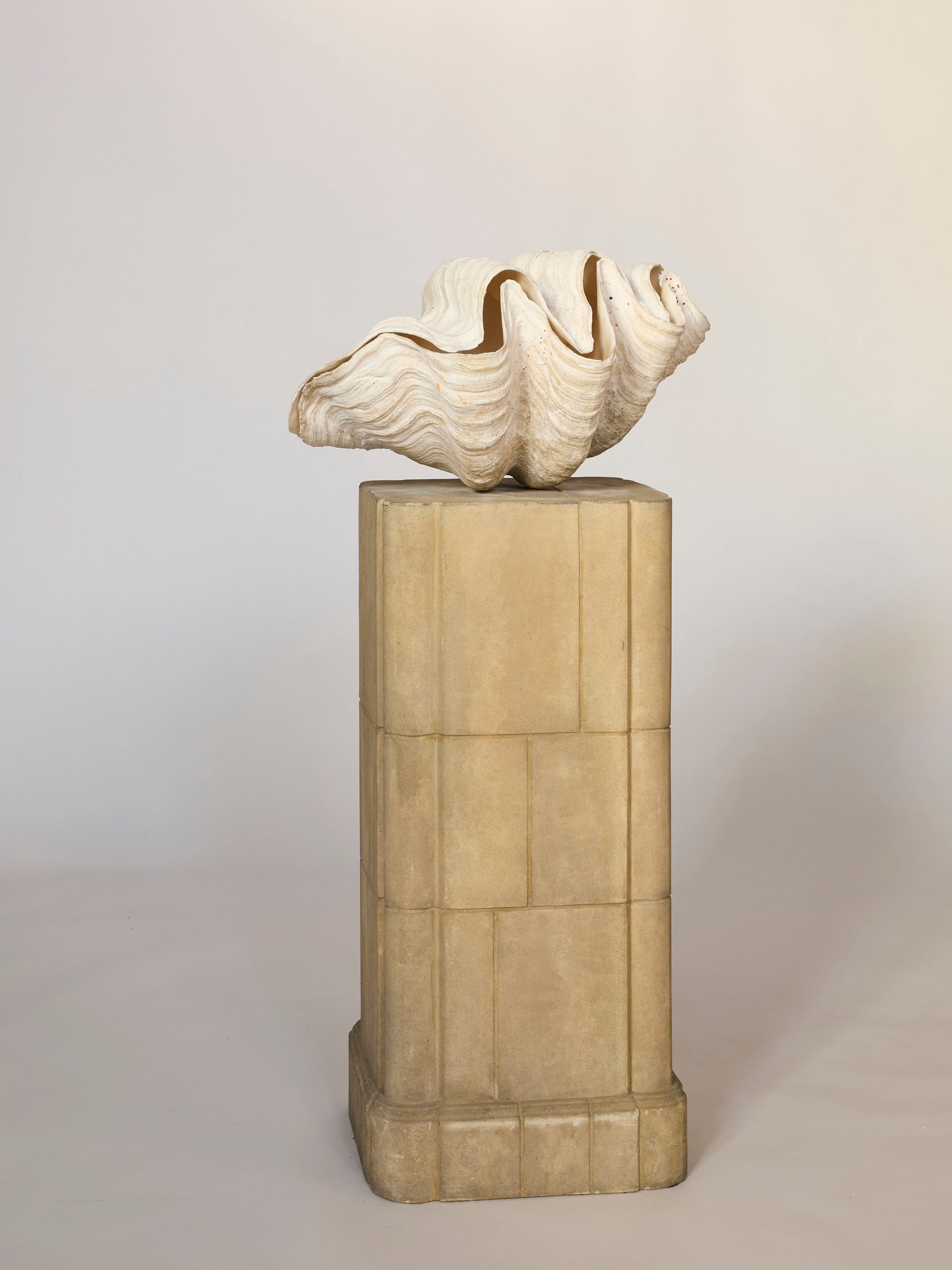 The Monumental Natural Shell Sculpture features a large, textured genuine shell atop a tall, rectangular stone pedestal with geometric patterns, creating a striking sculptural accent against a light background.