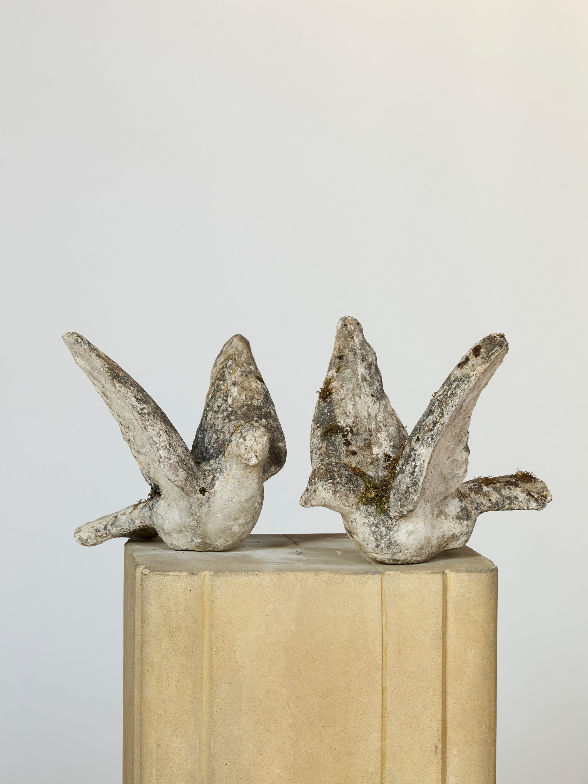 A pair of stone birds with moss and raised wings sit on a light pedestal against a neutral backdrop, serving as striking sculptural decor or timeless garden accents.