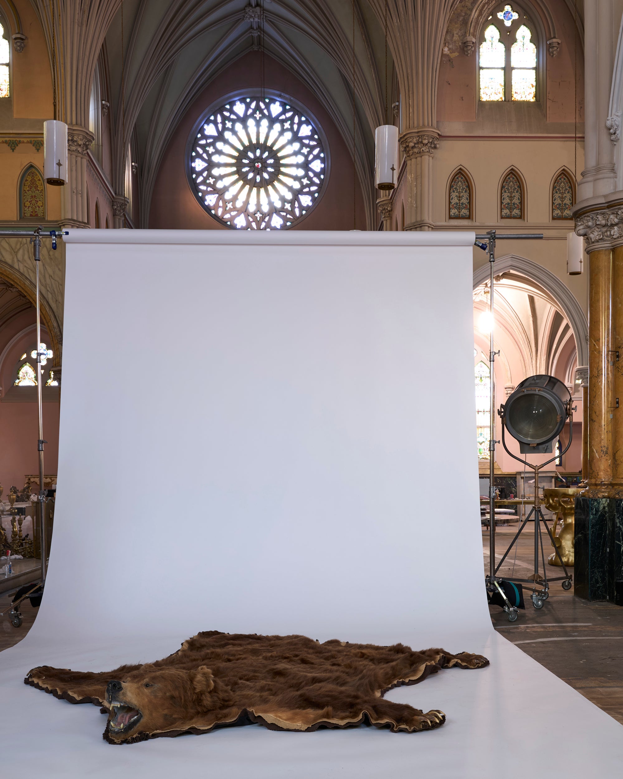 A Vintage Taxidermy Brown Bear Rug with Head is displayed on a white backdrop inside a grand church featuring arched ceilings, stained glass windows, ornate columns, and visible lighting equipment in the background.