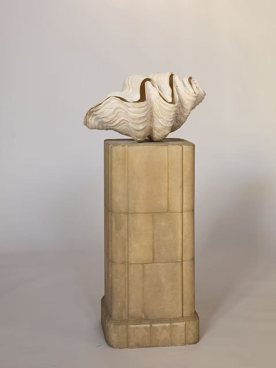 The Monumental Natural Shell Sculpture features a large genuine shell atop a tall, rectangular stone pedestal with a tiled pattern, creating a striking sculptural statement against a plain light gray background.
