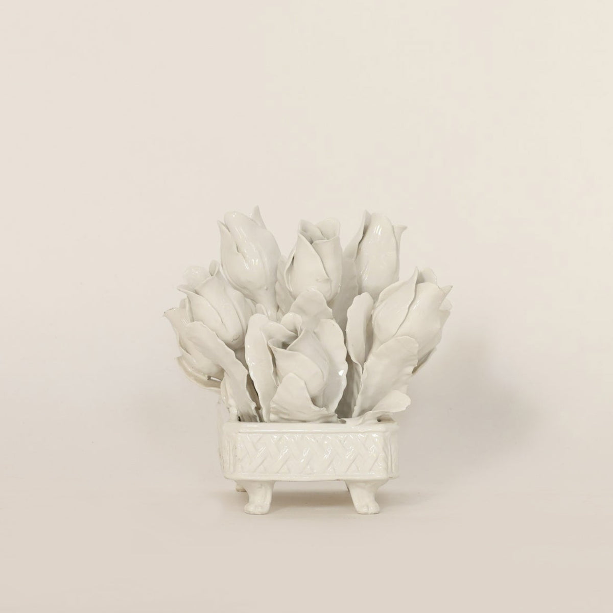 White ceramic coral sculpture on a beige background